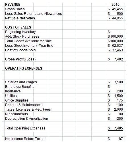 Medical sales business plan 6 months