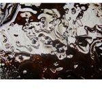 Oil Spill
