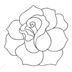Rose Outline