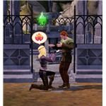 The Sims Medieval propose