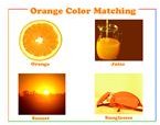 different words for orange color