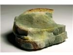 Verschimmeltes Brot