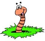 Clipart Worm
