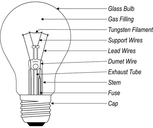 What are the Different Types of Light Bulbs