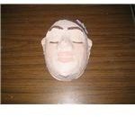 lesson plans plaster cloth mask