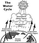 Water Cycle in Nature