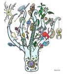 489px-Five biology branches