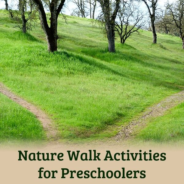 nature-walk-activities-for-preschoolers