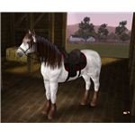 The Sims 3 horse