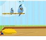 animal-games-birdland