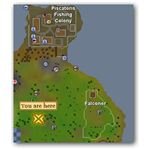 Hunting guide for runescape