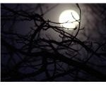 Spooky