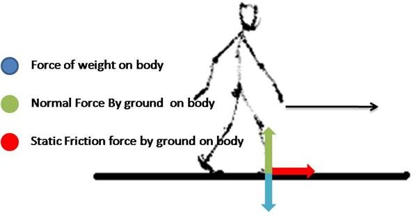 Application Of Newton s Laws In Walking Including A Free Body Diagram