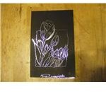 Scratch art tulips