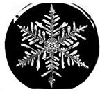 Fernlike Stellar Dendrite