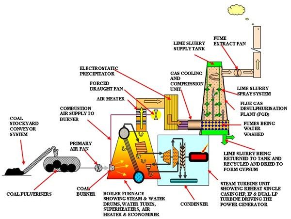 Resultado de imagen de diagram of a biomass power station
