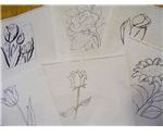 Line drawings of flowers