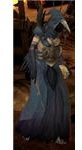 The Zealot's Appearance is an integral part of game lore.