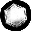 Plate Snow Crystal