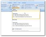 update the bibliography in word