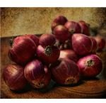 red onion by vicdv888