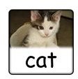 Three Letter Words for Preschool - Letter C