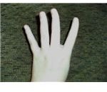ASL Four Back