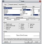 MS Word font options