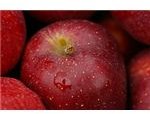red delicious apple by fortinbras