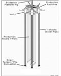 tension leg platform