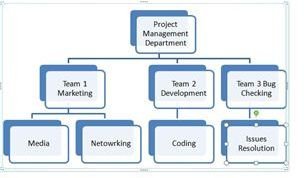 Organisational Chart Tesco