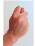 Fig Sign