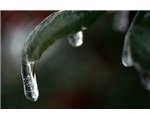 Ice Drip