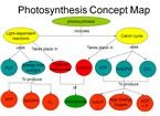 photosysnthesis map
