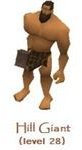 Runescape Hill Giant level 28