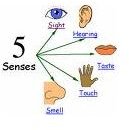 Early Childhood Lesson Plans + Human Body - five senses 2