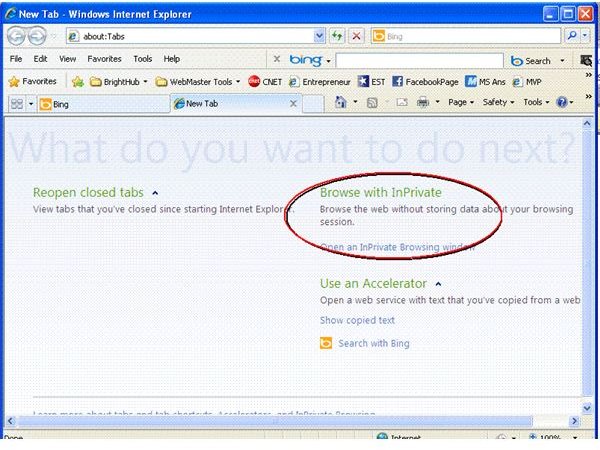 microsoft internet explorer 8 downloads