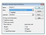 MS Project Custom Calendar Reports