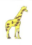 Fingerprint Giraffe
