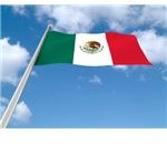 Mexican Flag