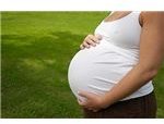 surrogate mother