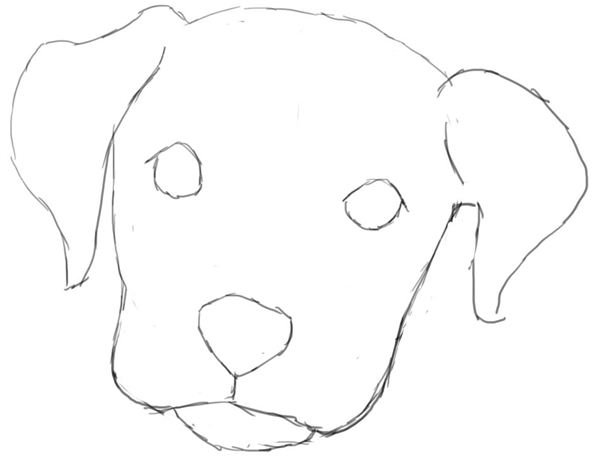 download dog drawing