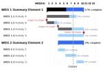 Gantt charts represent the schedule of a project visually