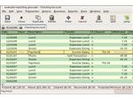 Gnucash stock options