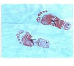 Fish Feet