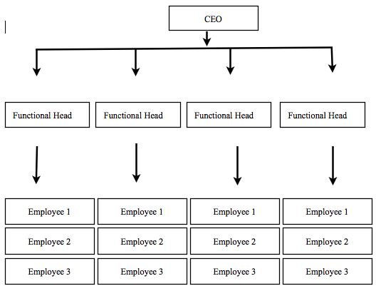 Functional Top Down Organizational Chart