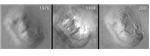 around the face of mars around the face of mars