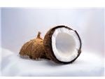 800px-Kokosnuss-Coconut