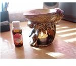 Learn How to Make Essential Oils at Home