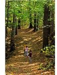 Nature Walk